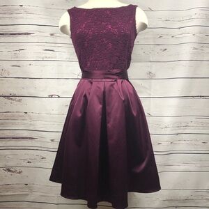 Limited Plum‎ A-line Dress